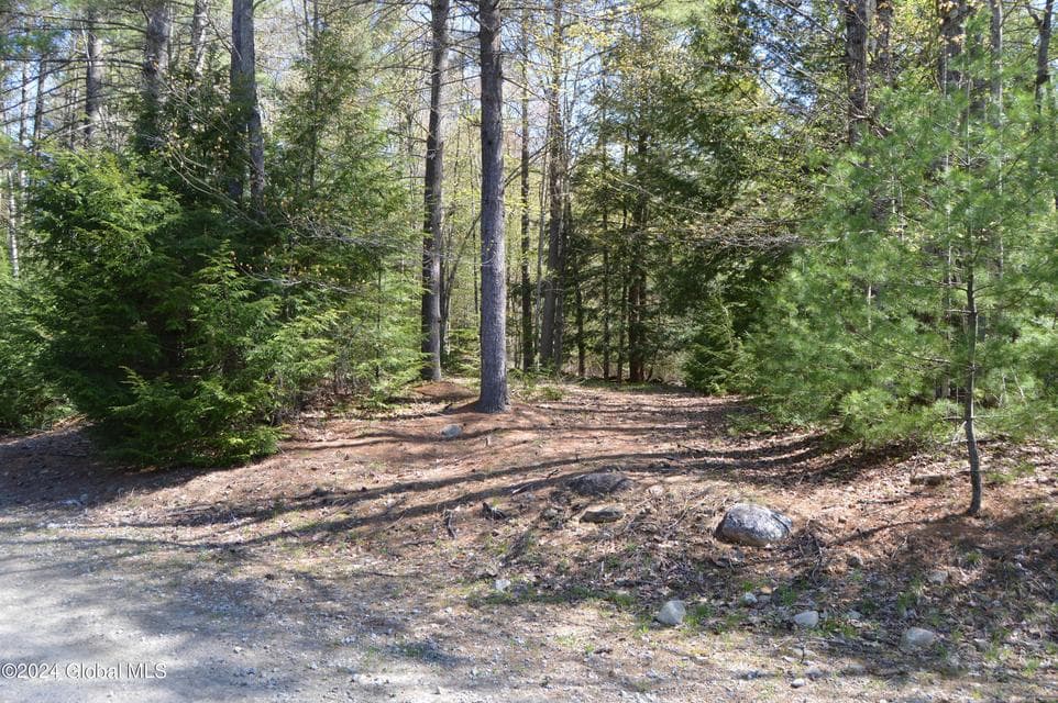 00 Adirondack Heights Rd Lot 8, photo 2