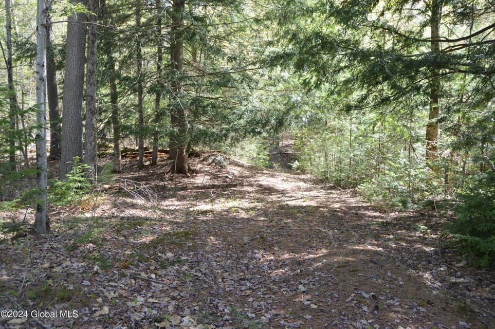 00 Adirondack Heights Rd Lot 8, photo 3