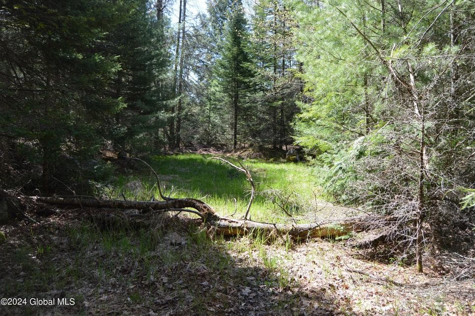 00 Adirondack Heights Rd Lot 8, photo 4