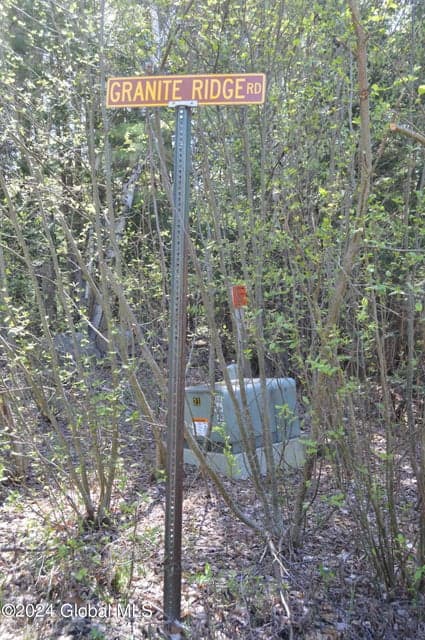 00 Adirondack Heights Rd Lot 8, photo 5