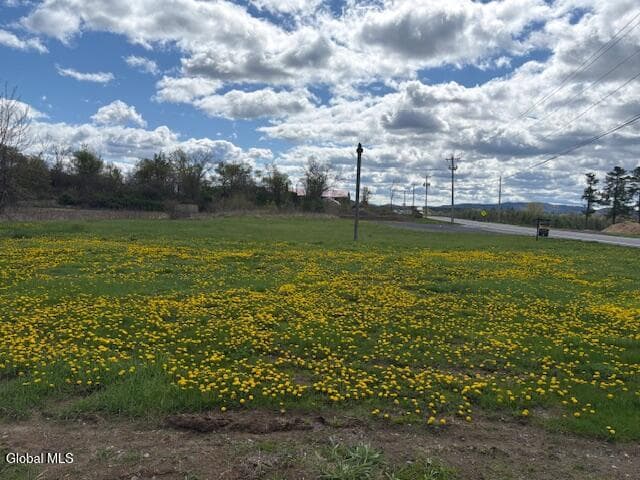 1168 NYS Route 29, photo 1