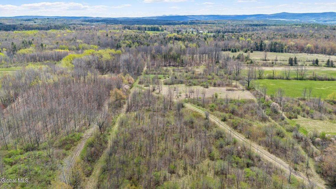L 8.2 Salsburg Road, Duanesburg, NY, photo 3