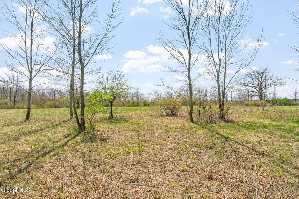 L 8.2 Salsburg Road, Duanesburg, NY 12053
