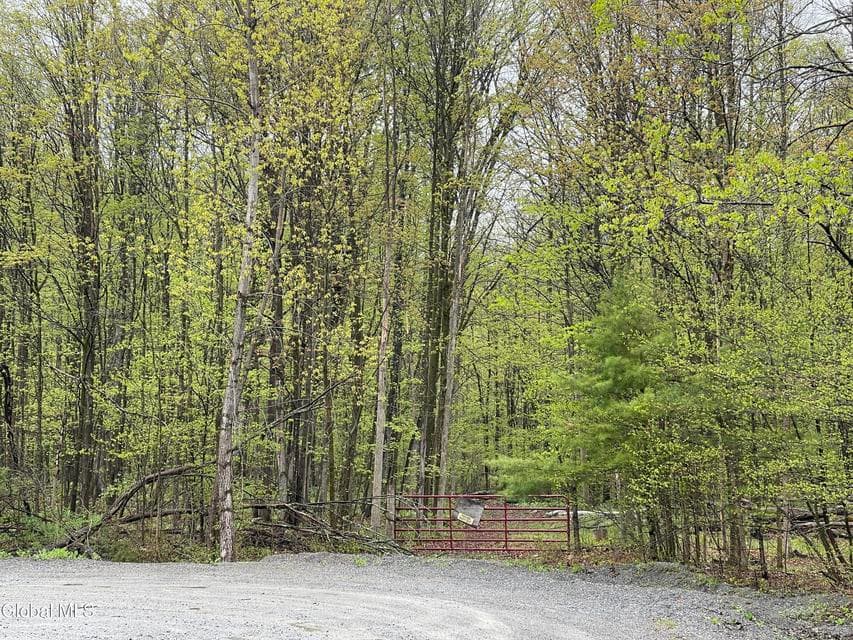 30.46 acres · Unimproved Land, photo 2