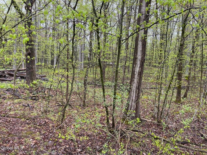 30.46 acres · Unimproved Land, photo 3