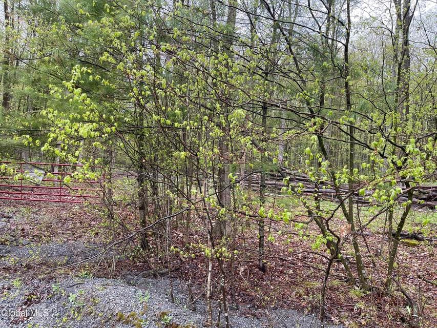 30.46 acres · Unimproved Land, photo 5