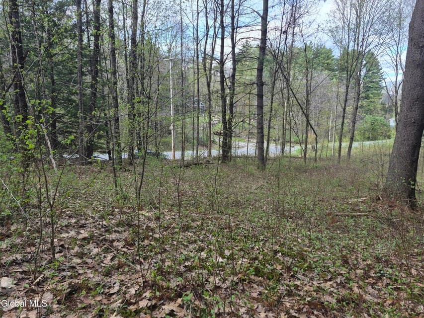 L-2.6 Goodman Road, photo 4