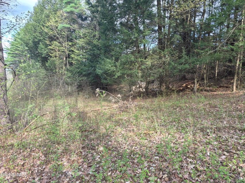 L-2.6 Goodman Road, photo 5