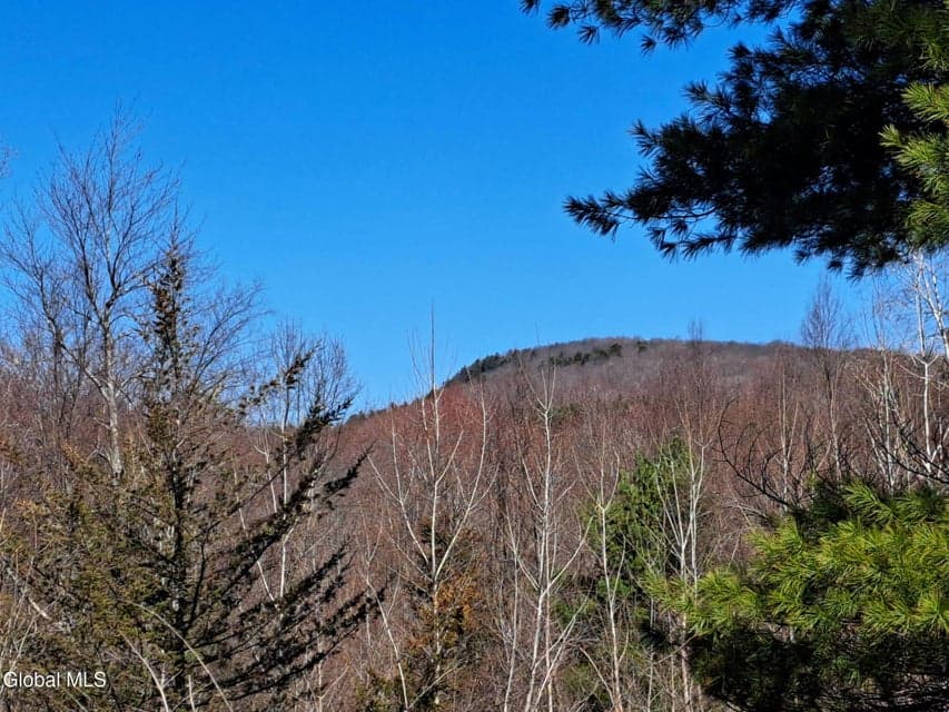 L68 State Route 149/Off, photo 2