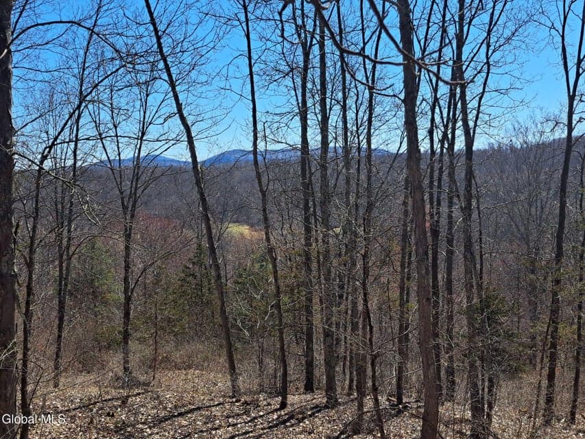 L68 State Route 149/Off, photo 3