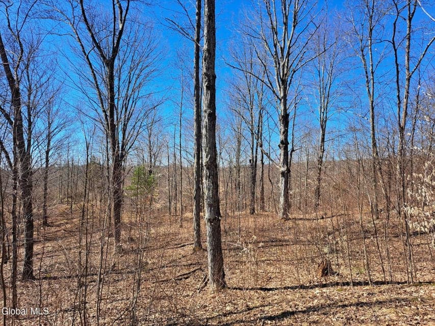 L68 State Route 149/Off, photo 4