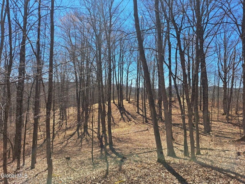L68 State Route 149/Off, photo 5