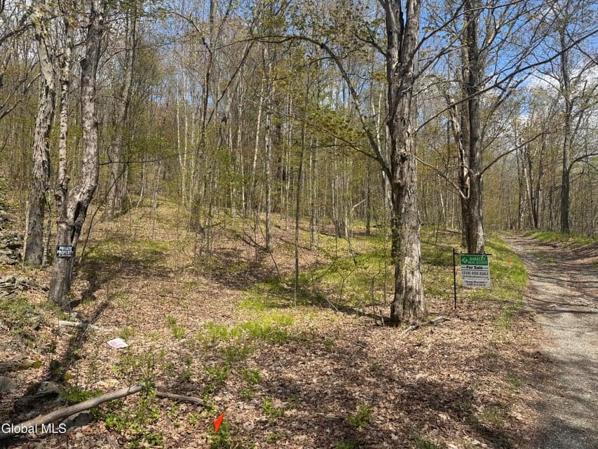 L10 Bromley Lane, Hebron, NY 12832