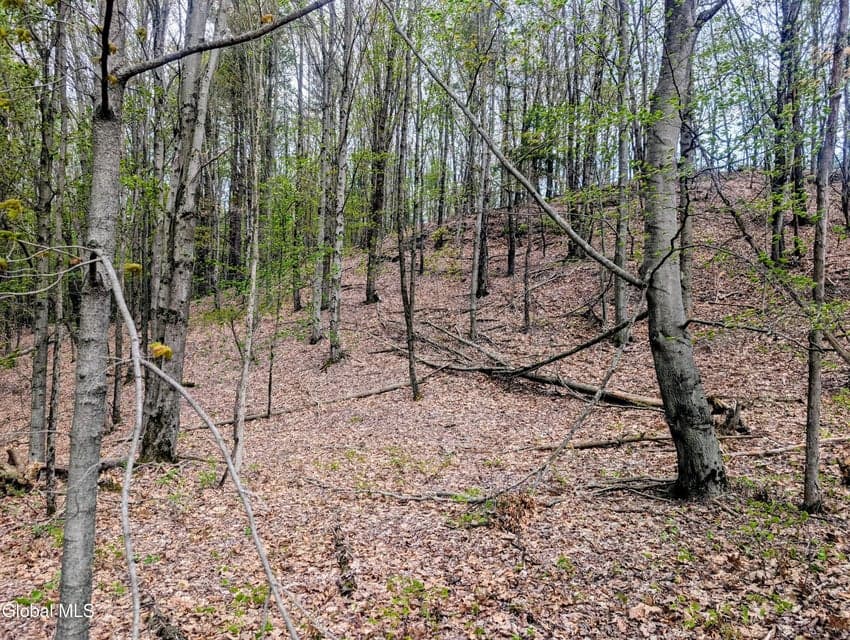 452 Johnson Hill Road, photo 4