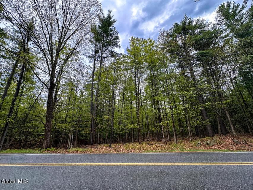 L59 Pilot Knob Road, photo 3