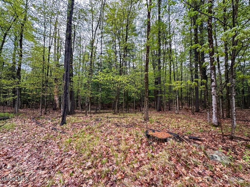 L59 Pilot Knob Road, photo 4