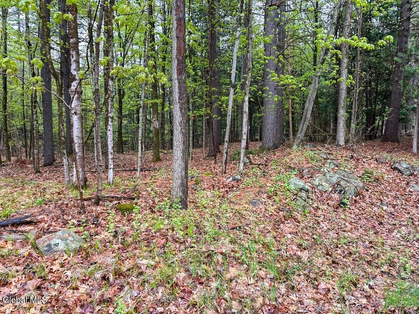 L59 Pilot Knob Road, photo 5
