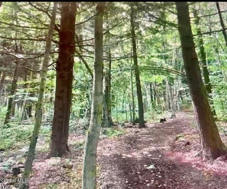 95 Pond View Way, Petersburgh, NY, photo 3