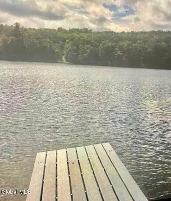 95 Pond View Way, Petersburgh, NY, photo 1