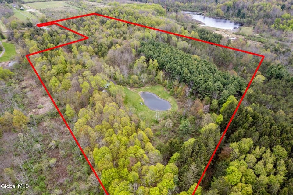 578 N Hillman Road, Delanson, NY 12053