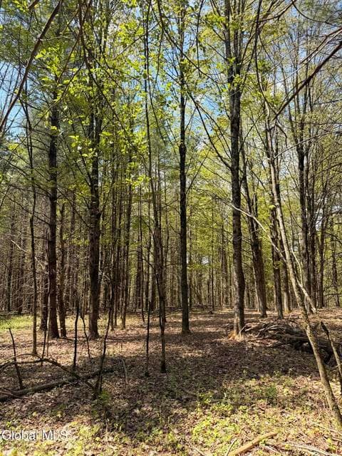 L6.3 Hall Road, Pittstown, NY 12094, photo 5
