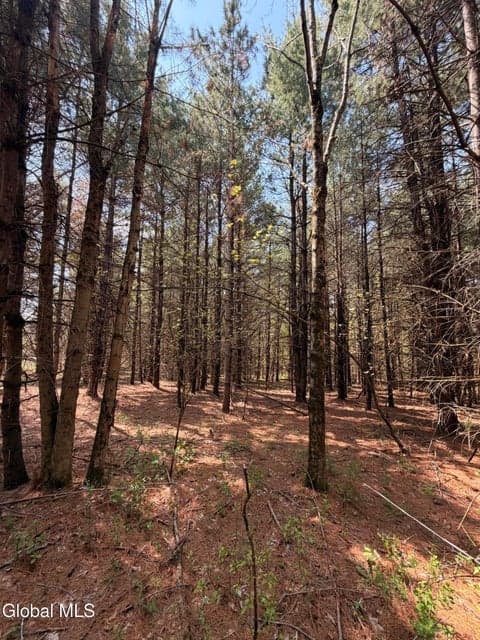 L6.3 Hall Road, Pittstown, NY 12094, photo 4