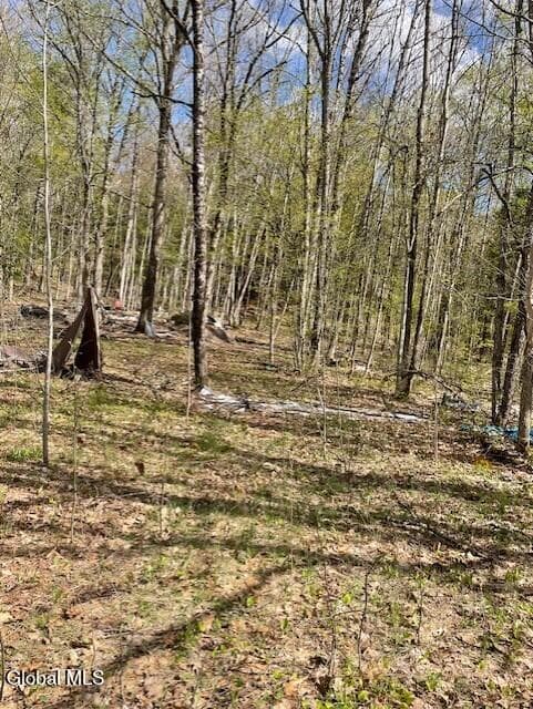 860 Nys Route 30, Hope, NY 12134