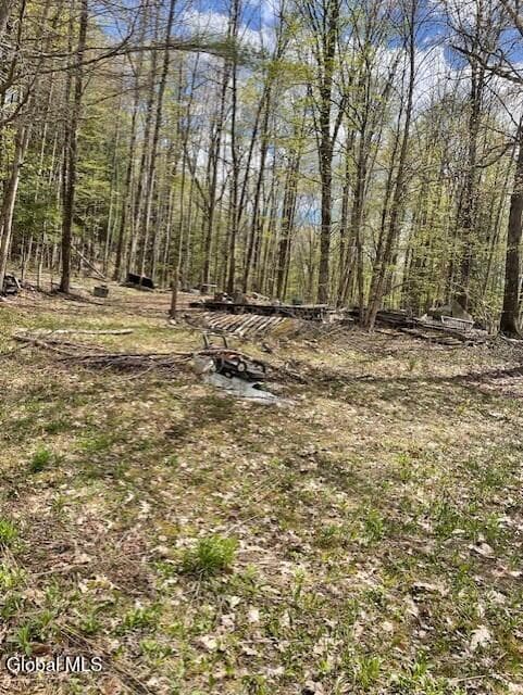 860 Nys Route 30, Hope, NY 12134, photo 4