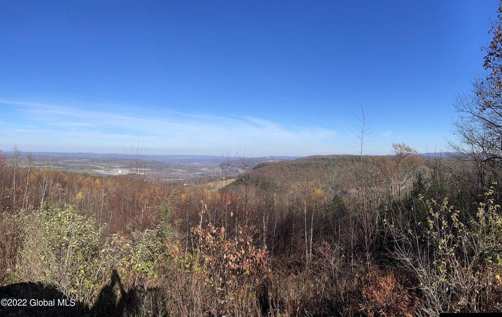 L26 & L27 Ecker Hollow Road, Cobleskill, NY 12043, photo 3
