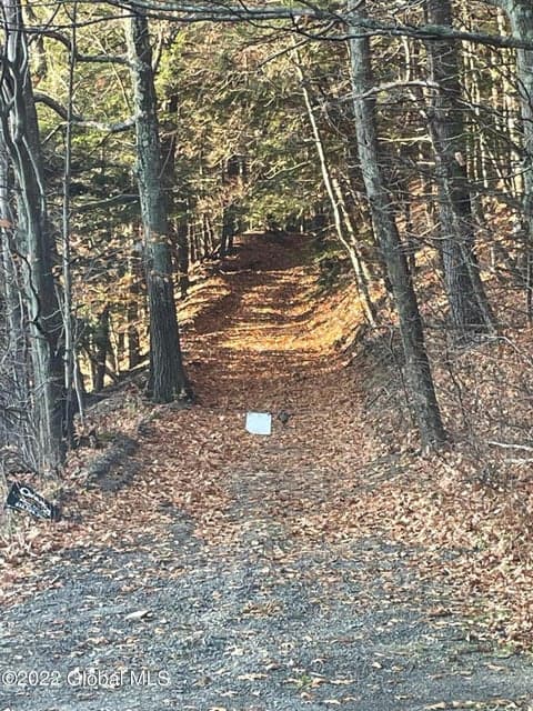 L26 & L27 Ecker Hollow Road, Cobleskill, NY 12043, photo 1