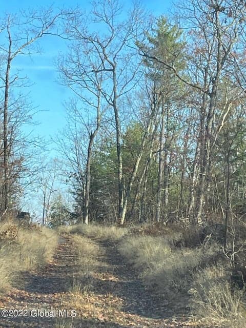 L26 & L27 Ecker Hollow Road, Cobleskill, NY 12043, photo 4