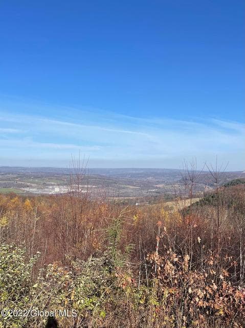 L26 & L27 Ecker Hollow Road, Cobleskill, NY 12043, photo 5