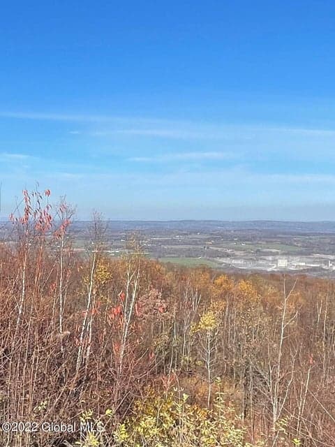 L26 & L27 Ecker Hollow Road, Cobleskill, NY 12043, photo 2