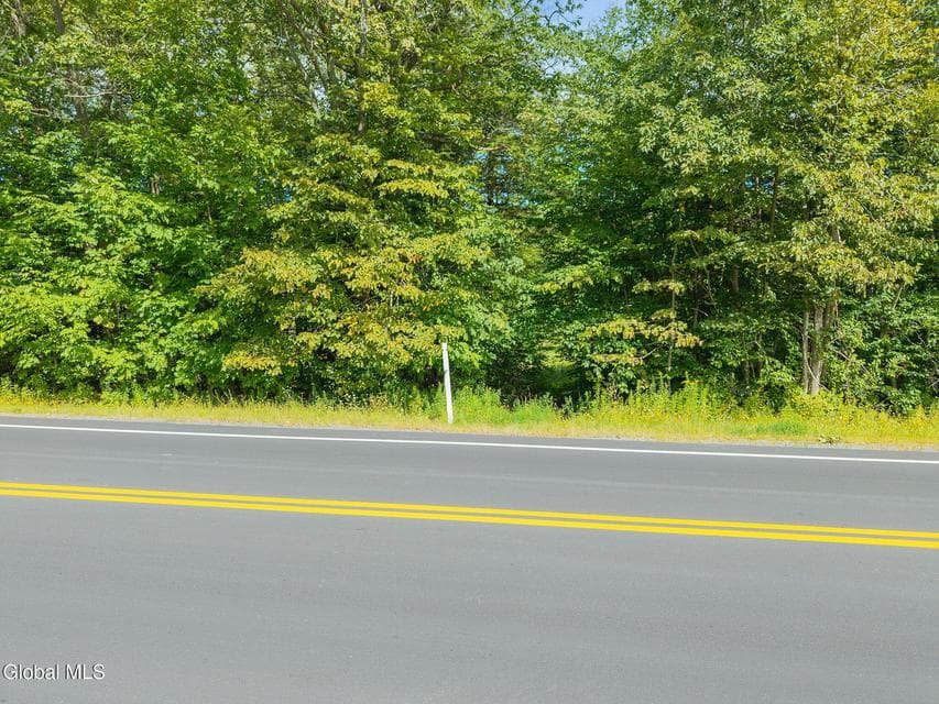 L100 Skyline Drive, Delanson, NY 12053, photo 2