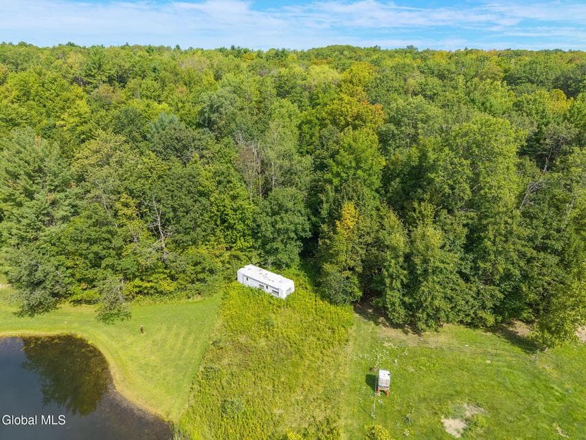 L100 Skyline Drive, Delanson, NY 12053, photo 3