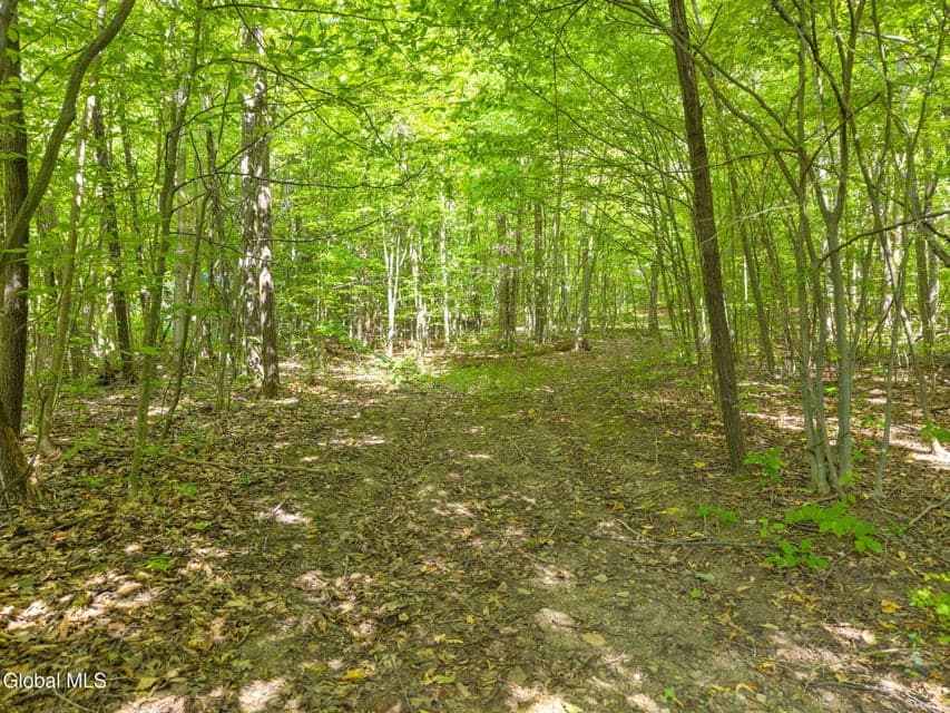 L100 Skyline Drive, Delanson, NY 12053, photo 4
