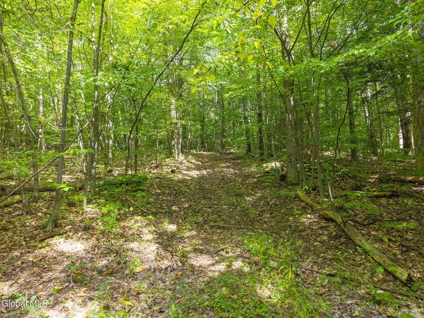 L100 Skyline Drive, Delanson, NY 12053, photo 5