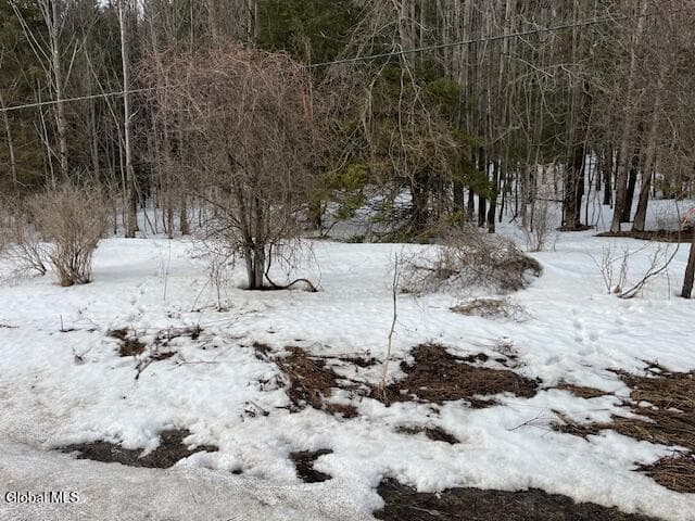 L6 Jordanville Road, Columbia, NY 13357, photo 3