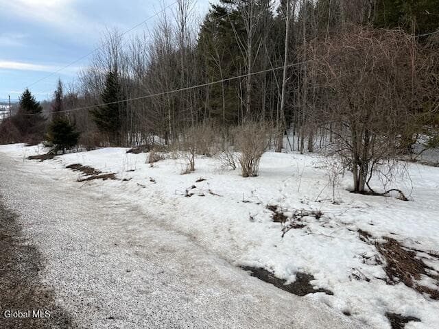 L6 Jordanville Road, Columbia, NY 13357, photo 4