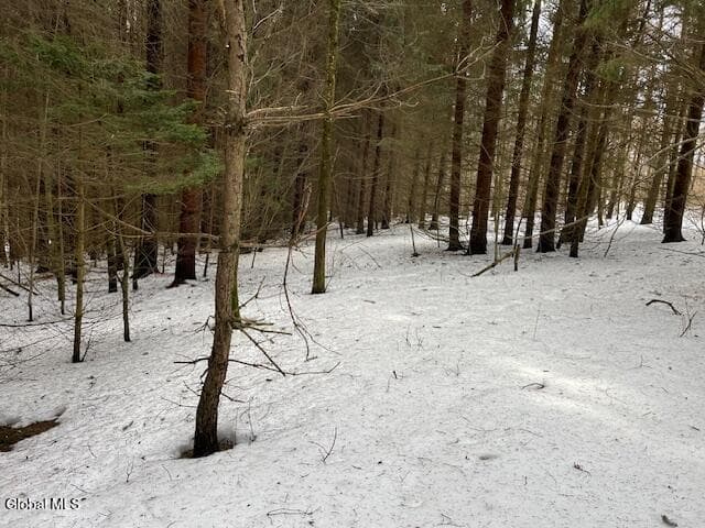 L6 Jordanville Road, Columbia, NY 13357, photo 5