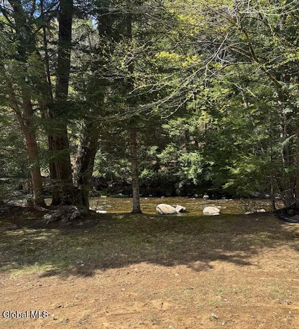 501 Harrington Road, Johnsburg, NY 12886, photo 4