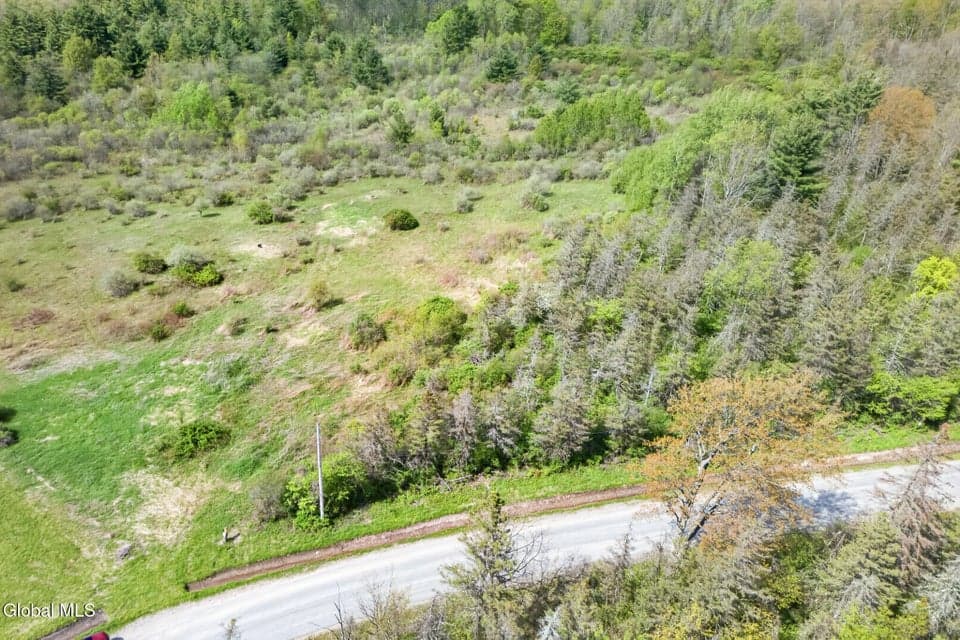 L14.023 Oswegatchie Road, Palatine, NY 13428, photo 5