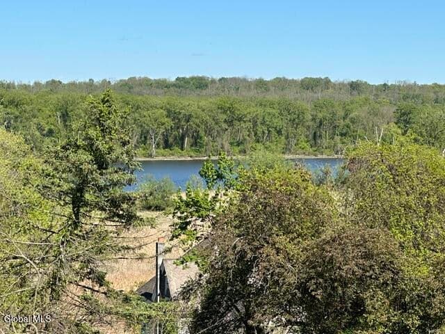 L49.3 James Dr Drive, Coeymans, NY 12143, photo 2