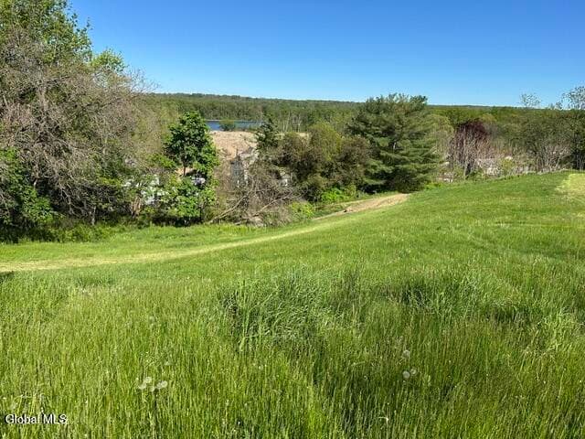 L49.3 James Dr Drive, Coeymans, NY 12143, photo 4