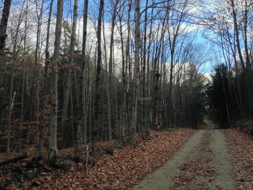 20 Hall Mountain Road, Warrensburg, NY