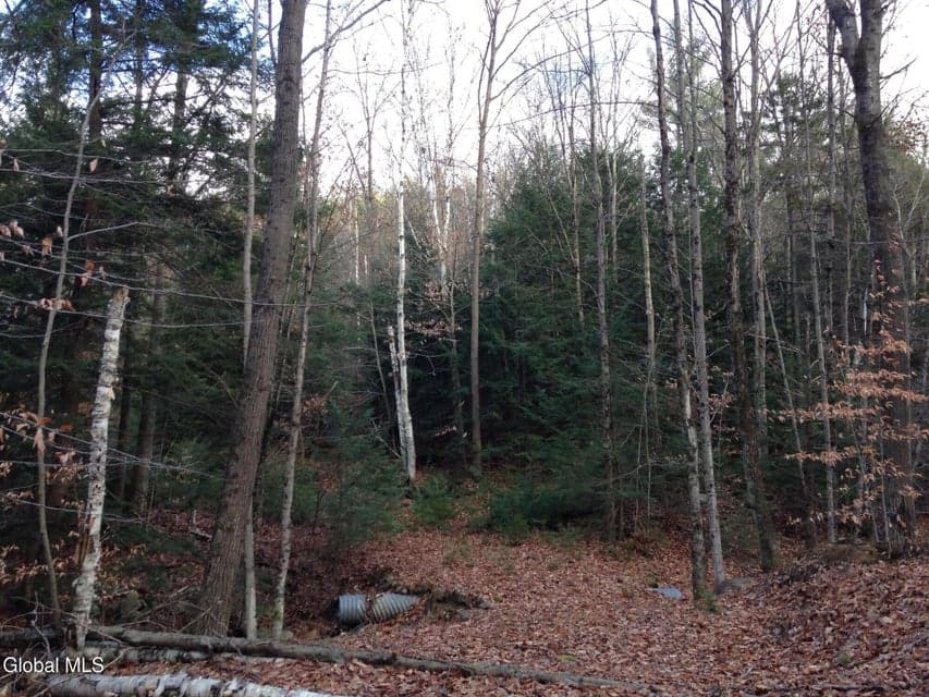 20 Hall Mountain Road, Warrensburg, NY, photo 2