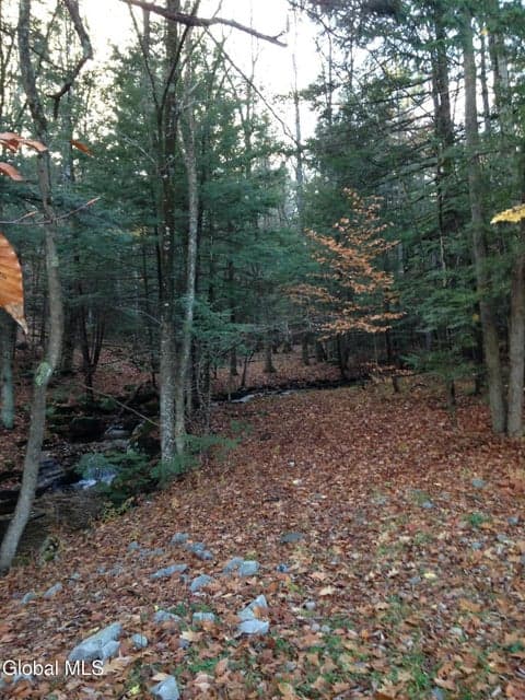 20 Hall Mountain Road, Warrensburg, NY, photo 3