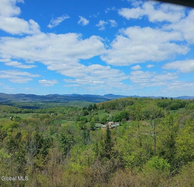 1710 Truthville Road, Whitehall, NY 12887, photo 2