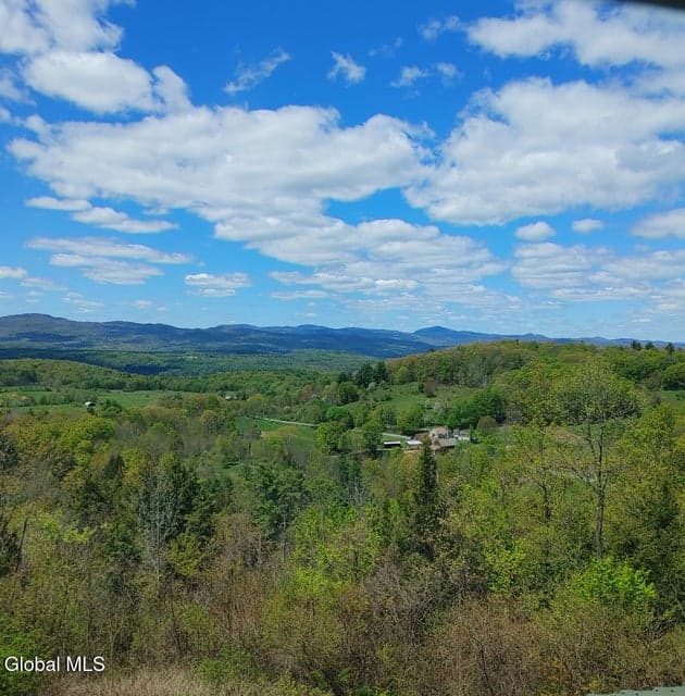 1710 Truthville Road, Whitehall, NY 12887, photo 4