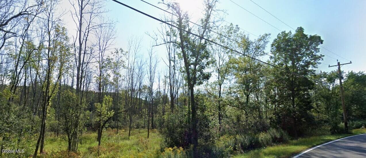 5591 Grant Hill Road, Voorheesville, NY